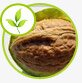 black_walnut_oil