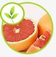 grapefruit_seed_extract